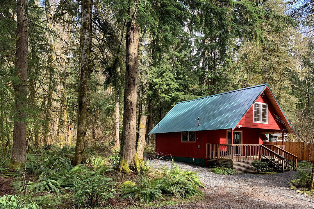 Camp Alder - a quiet, modern cabin near Mt. Rainier National Park Nisqually Entrance